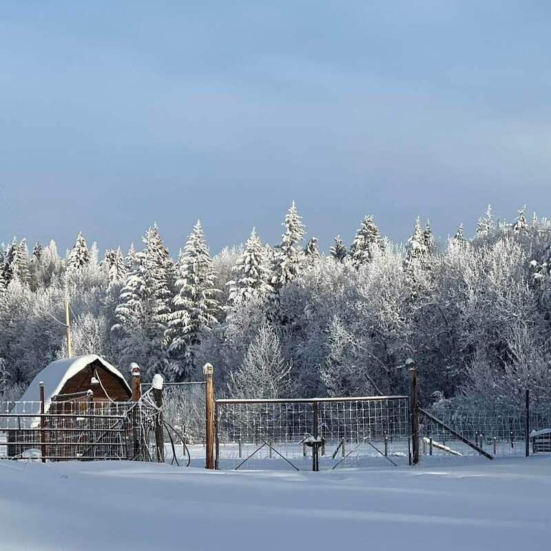 Game Fence and Tack Shed